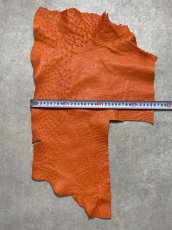 画像6: オーストリッチ革ハギレ　オレンジ　ダチョウの革　オーストリッチレザー　エキゾチックレザー (6)