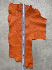 画像7: オーストリッチ革ハギレ　オレンジ　ダチョウの革　オーストリッチレザー　エキゾチックレザー (7)