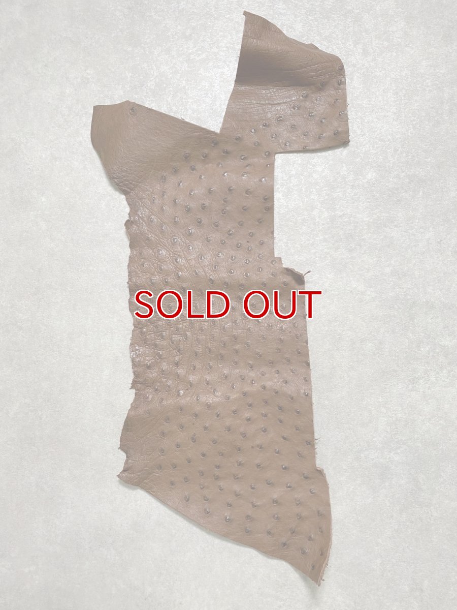 画像1: オーストリッチ革ハギレ　ブラウン　ダチョウの革　オーストリッチレザー　エキゾチックレザー (1)