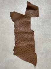 画像1: オーストリッチ革ハギレ　ブラウン　ダチョウの革　オーストリッチレザー　エキゾチックレザー (1)
