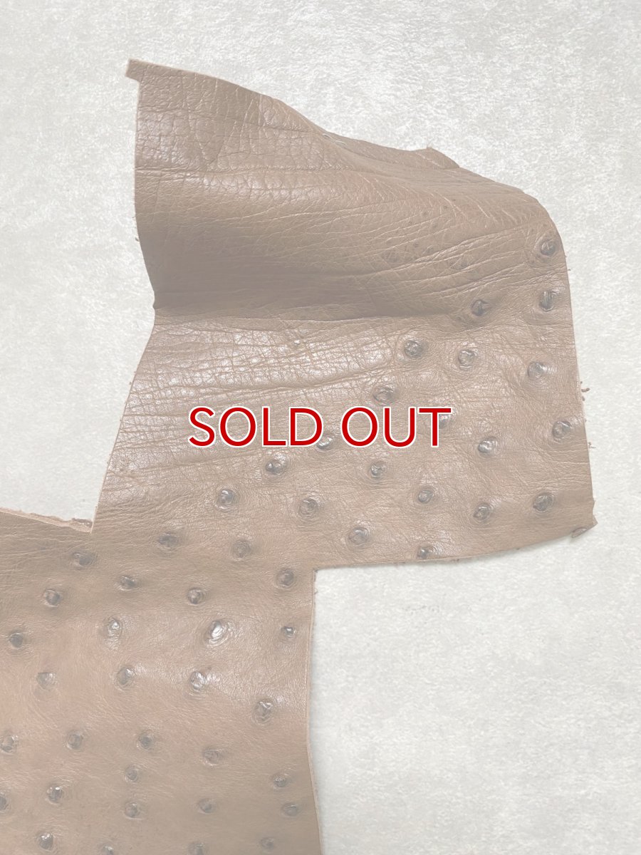 画像2: オーストリッチ革ハギレ　ブラウン　ダチョウの革　オーストリッチレザー　エキゾチックレザー (2)
