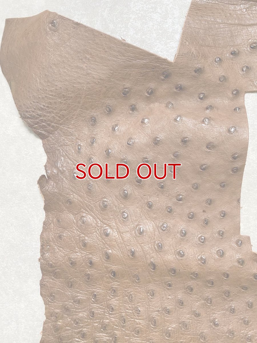 画像3: オーストリッチ革ハギレ　ブラウン　ダチョウの革　オーストリッチレザー　エキゾチックレザー (3)