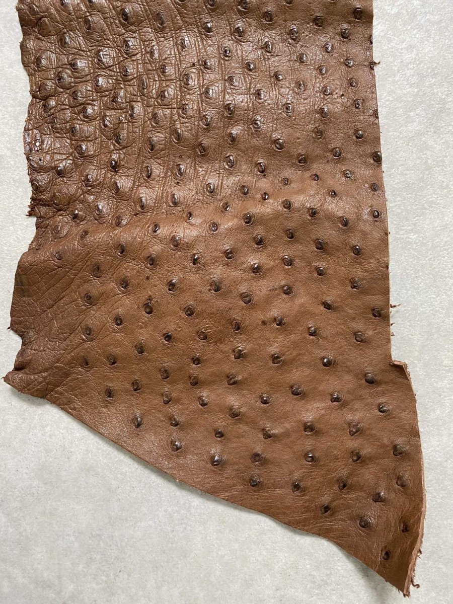 画像4: オーストリッチ革ハギレ　ブラウン　ダチョウの革　オーストリッチレザー　エキゾチックレザー (4)
