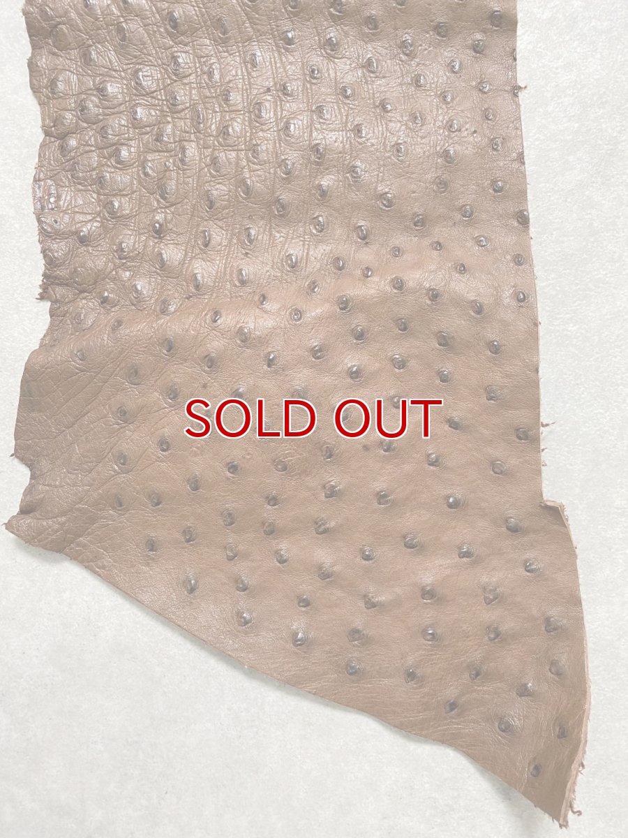 画像4: オーストリッチ革ハギレ　ブラウン　ダチョウの革　オーストリッチレザー　エキゾチックレザー (4)