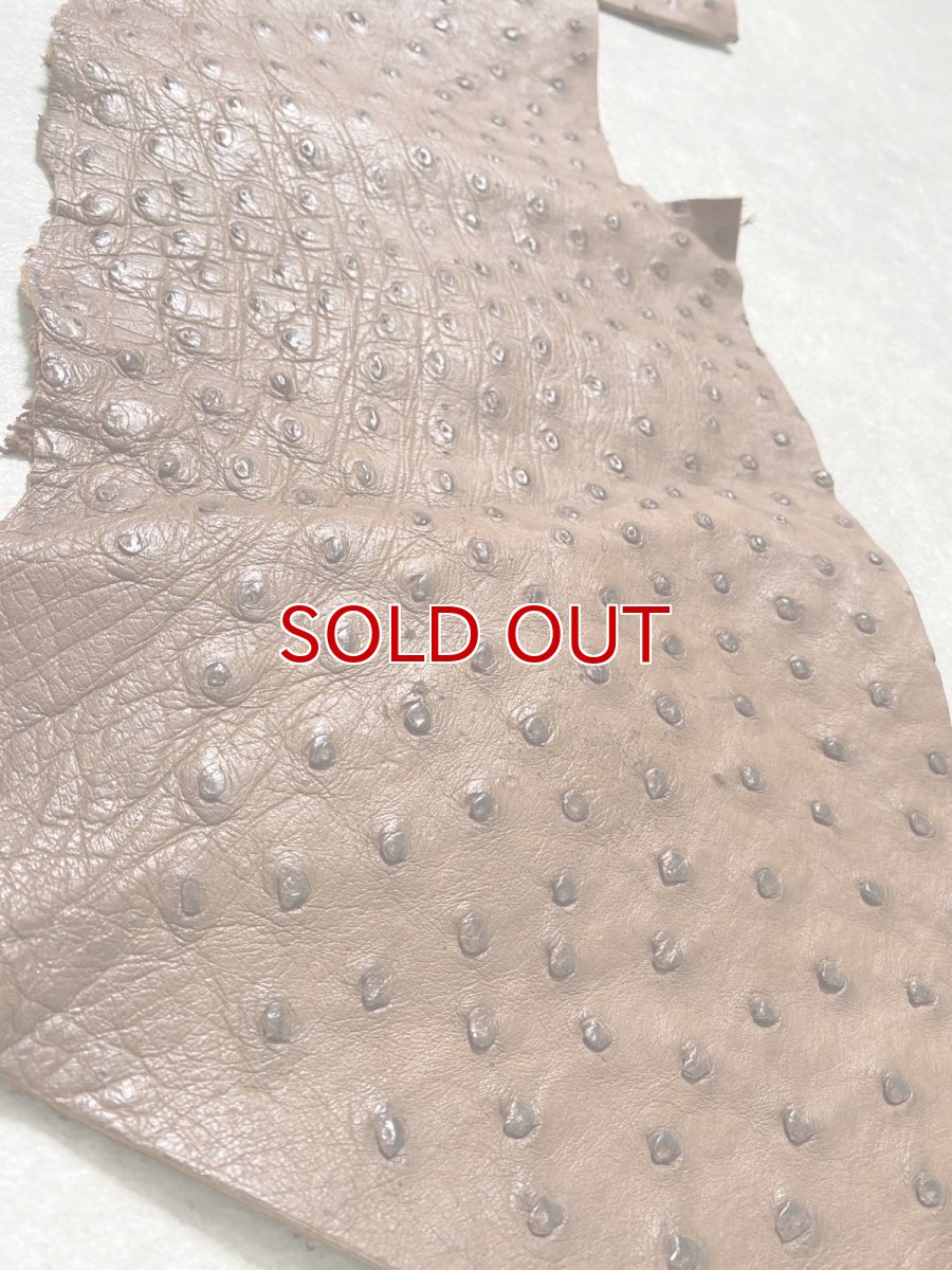 画像5: オーストリッチ革ハギレ　ブラウン　ダチョウの革　オーストリッチレザー　エキゾチックレザー (5)