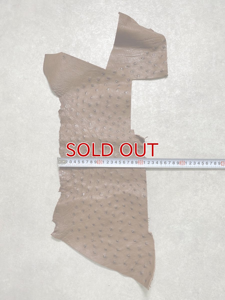 画像7: オーストリッチ革ハギレ　ブラウン　ダチョウの革　オーストリッチレザー　エキゾチックレザー (7)