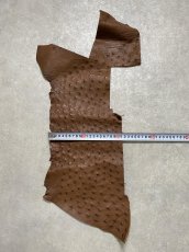画像7: オーストリッチ革ハギレ　ブラウン　ダチョウの革　オーストリッチレザー　エキゾチックレザー (7)