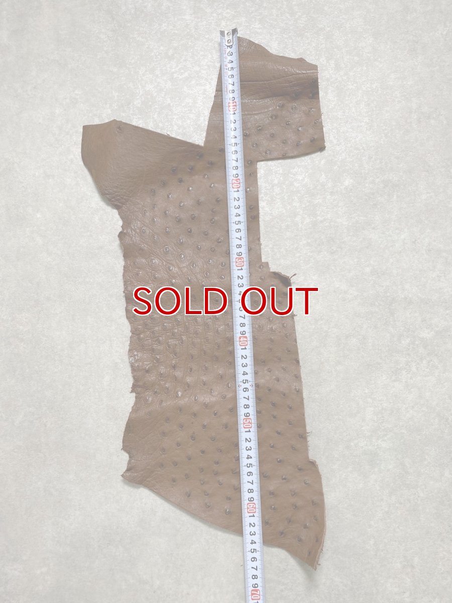 画像6: オーストリッチ革ハギレ　ブラウン　ダチョウの革　オーストリッチレザー　エキゾチックレザー (6)