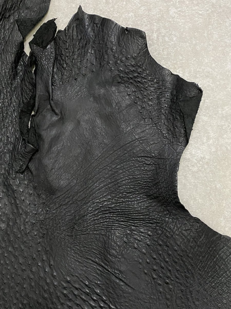 画像4: オーストリッチ革 ブラック ダチョウの革 オーストリッチレザー エキゾチックレザー (4)
