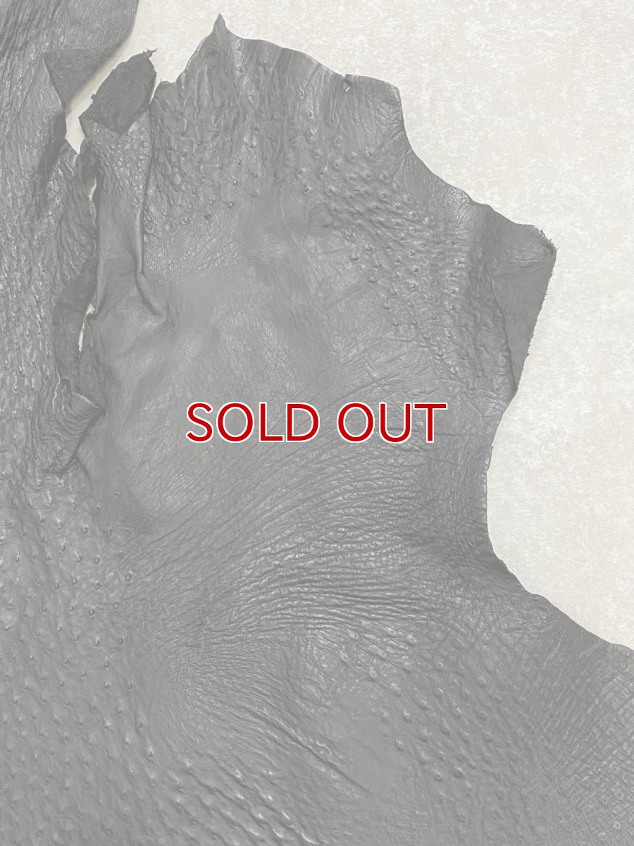 画像4: オーストリッチ革　ブラック　ダチョウの革　オーストリッチレザー　エキゾチックレザー (4)