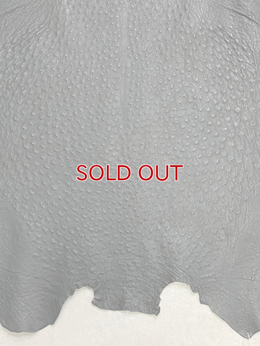 画像6: オーストリッチ革　ブラック　ダチョウの革　オーストリッチレザー　エキゾチックレザー (6)