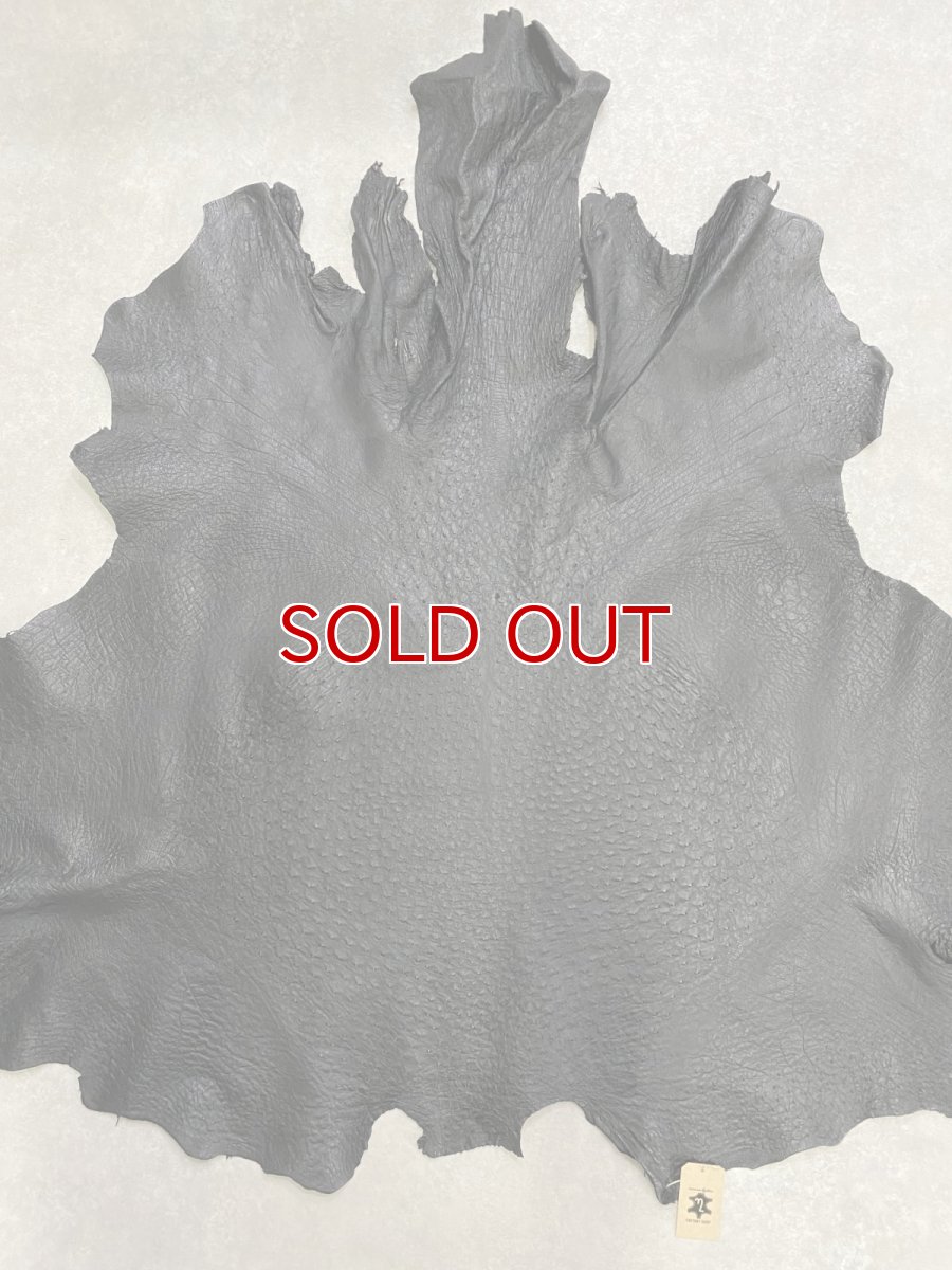 画像1: オーストリッチ革　ブラック　ダチョウの革　オーストリッチレザー　エキゾチックレザー (1)