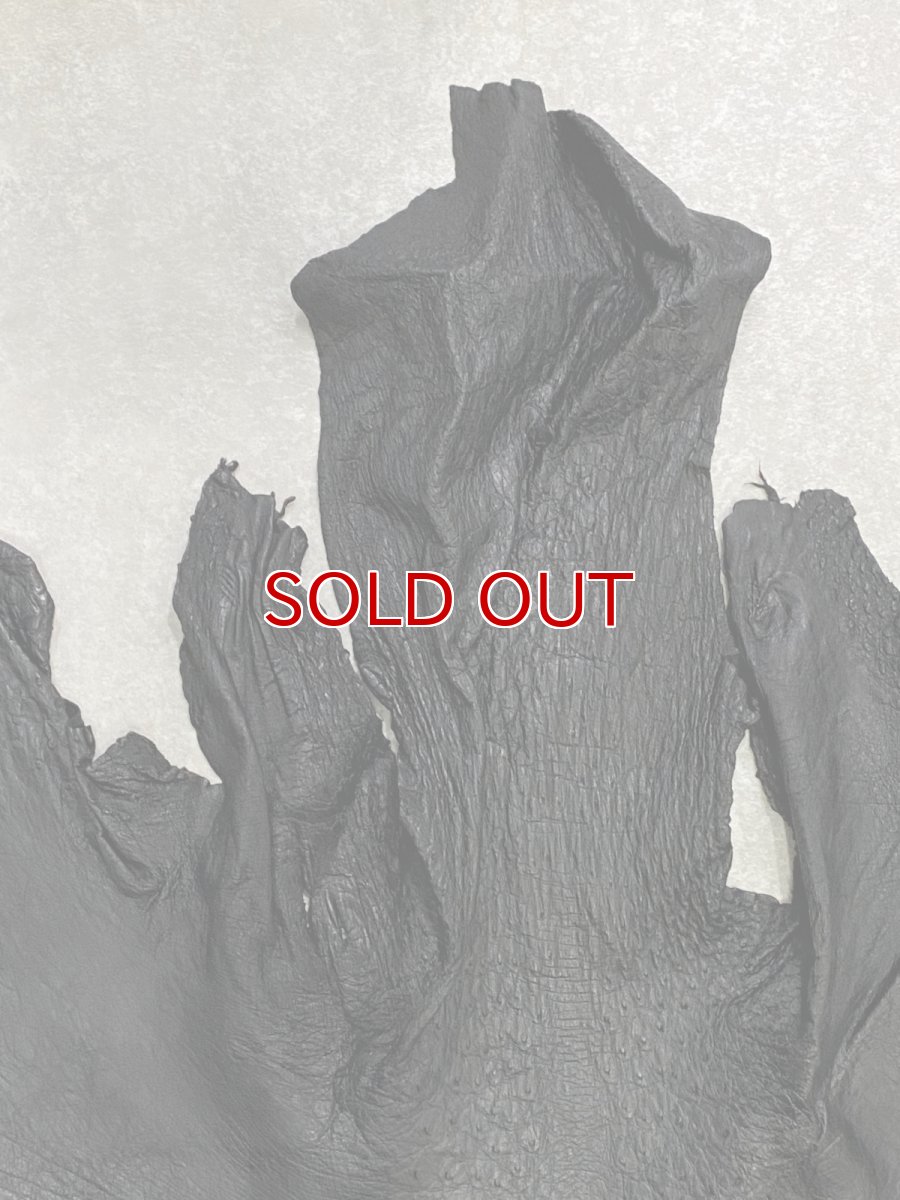 画像3: オーストリッチ革　ブラック　ダチョウの革　オーストリッチレザー　エキゾチックレザー (3)