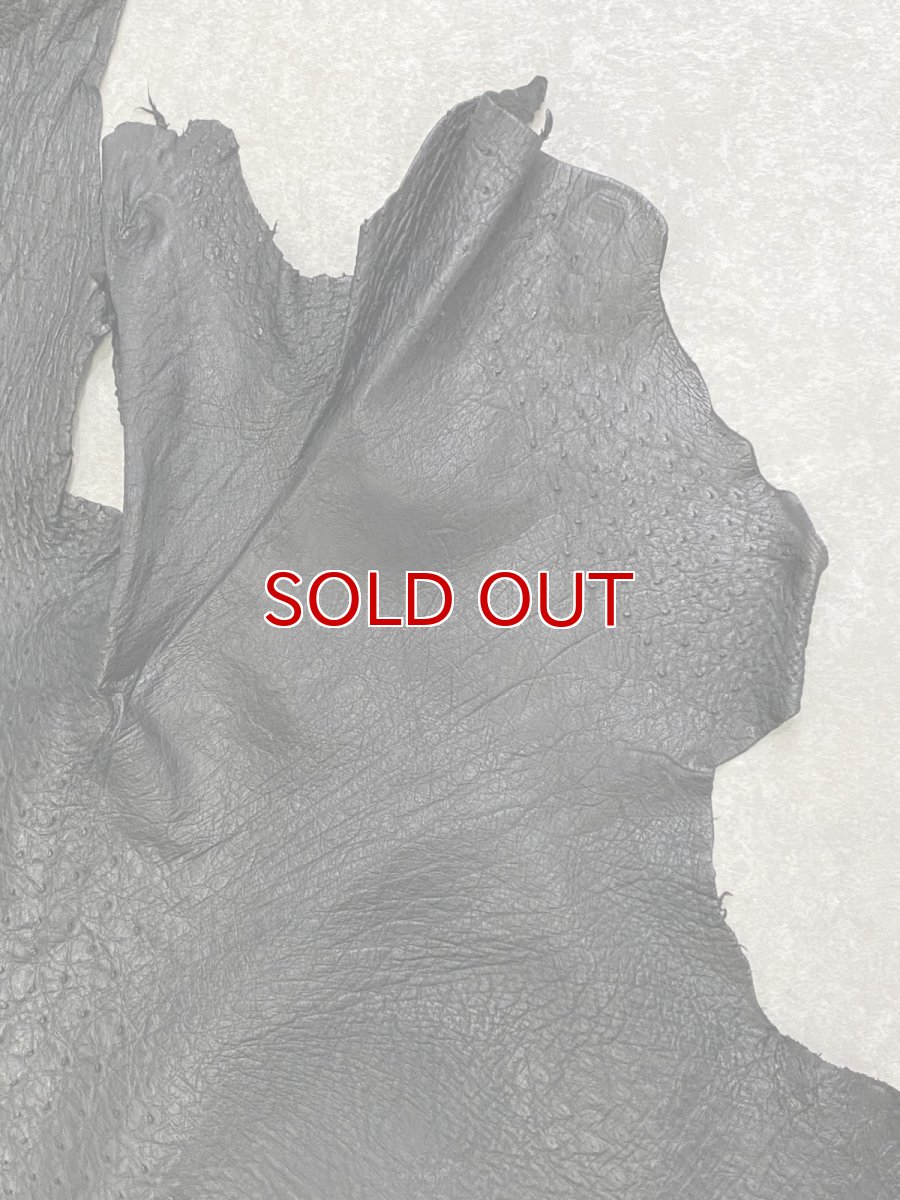 画像4: オーストリッチ革　ブラック　ダチョウの革　オーストリッチレザー　エキゾチックレザー (4)