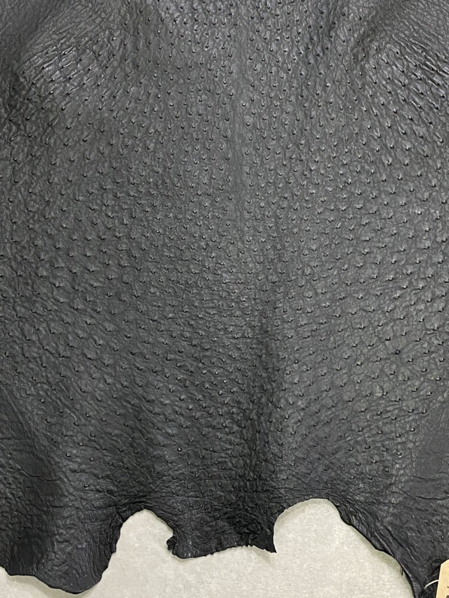 画像6: オーストリッチ革 ブラック ダチョウの革 オーストリッチレザー エキゾチックレザー (6)