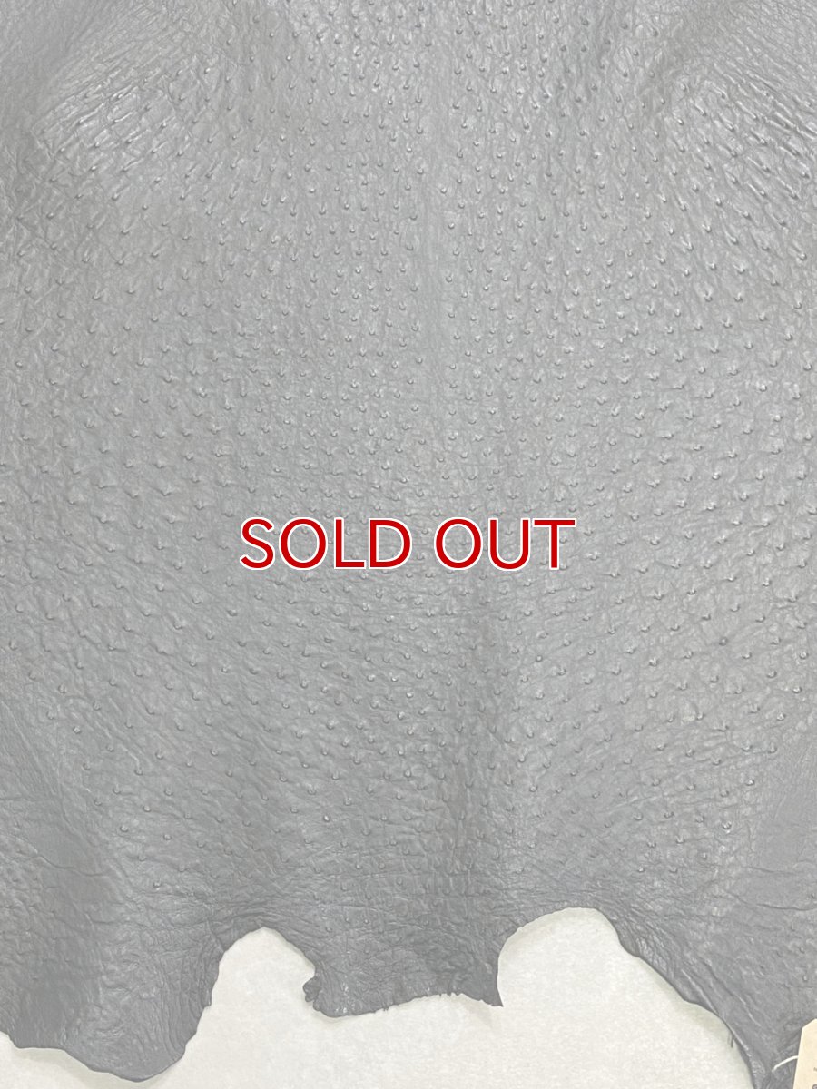 画像6: オーストリッチ革　ブラック　ダチョウの革　オーストリッチレザー　エキゾチックレザー (6)