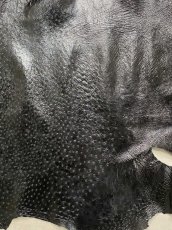 画像6: オーストリッチ　エナメル　ブラック (6)