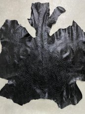 画像1: オーストリッチ　エナメル　ブラック (1)