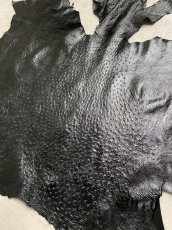 画像4: オーストリッチ　エナメル　ブラック (4)