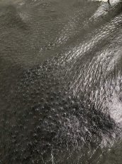画像3: オーストリッチ　エナメル　ブラック (3)