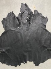 画像1: オーストリッチ革　ブラック　ダチョウの革　オーストリッチレザー　エキゾチックレザー (1)