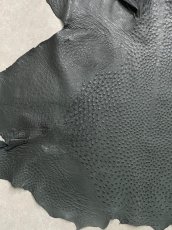 画像5: オーストリッチ革　ライトブラック　ダチョウの革　 (5)