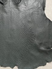 画像6: オーストリッチ革　ライトブラック　ダチョウの革　 (6)