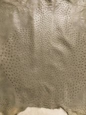 画像7: オーストリッチ革　サーペン　ダチョウの革　 (7)