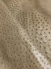 画像2: オーストリッチ革　サーペン　ダチョウの革　 (2)