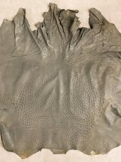 画像1: オーストリッチ革　サーペン　ダチョウの革　 (1)