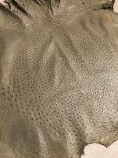 画像2: オーストリッチ革　サーペン　ダチョウの革　 (2)