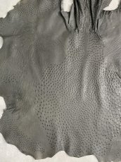 画像4: オーストリッチ革　アンスラサイト　ダチョウの革　 (4)