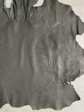 画像5: オーストリッチ革　アンスラサイト　ダチョウの革　 (5)