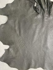 画像5: オーストリッチ革　アンスラサイト　ダチョウの革　 (5)