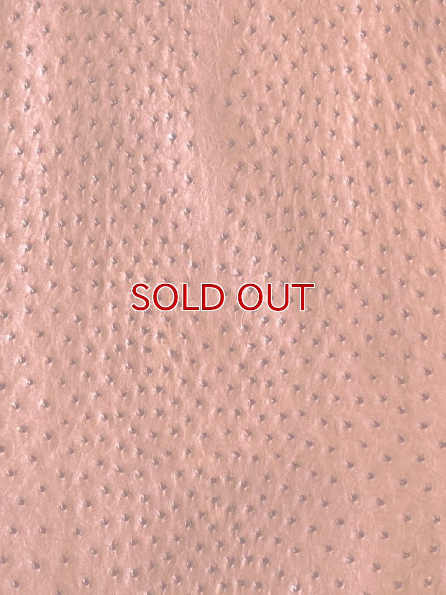 画像5: オーストリッチ　ガーベラ (5)