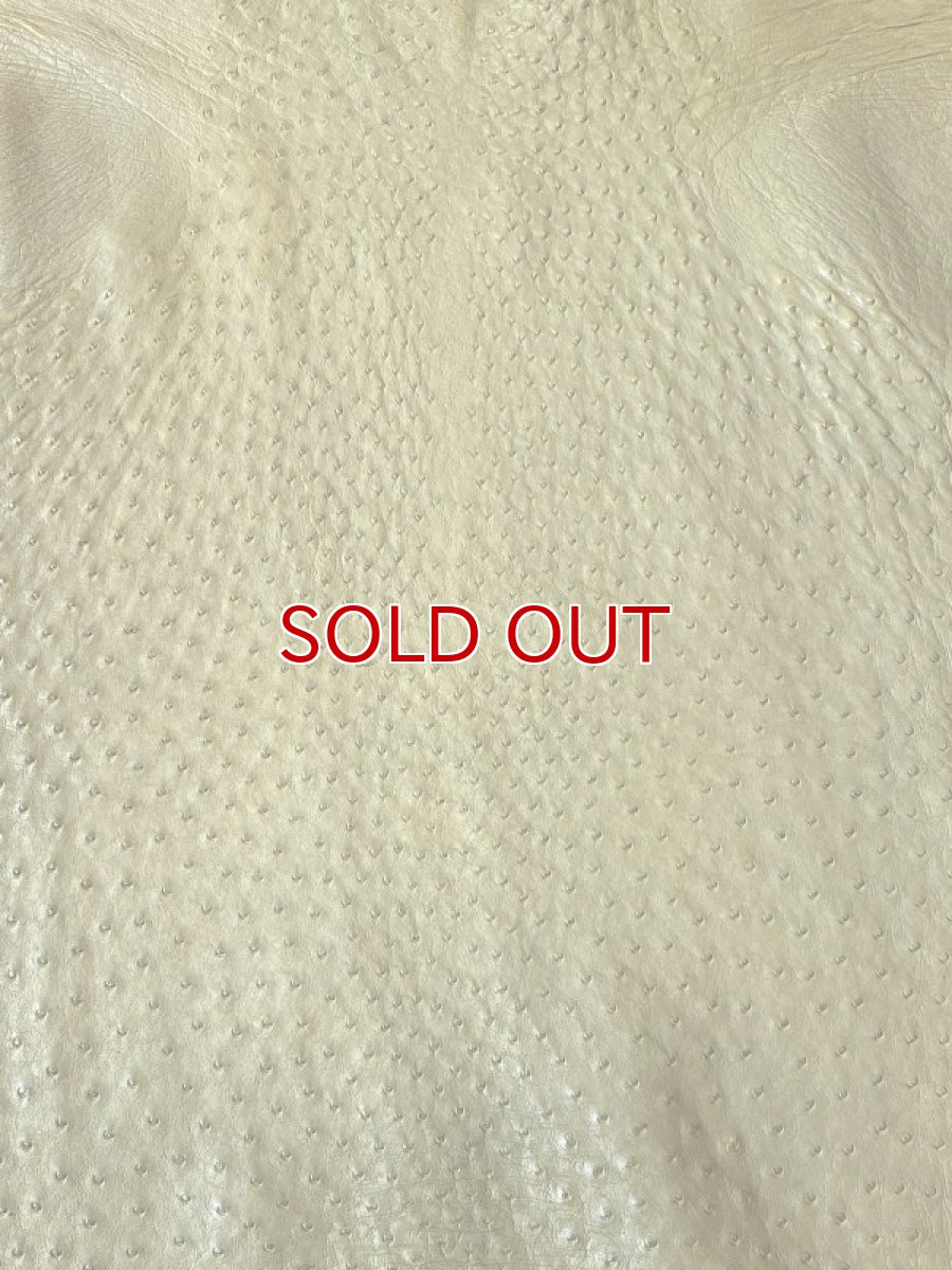 画像2: オーストリッチ　キウイ (2)