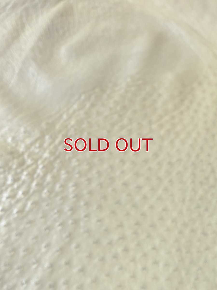 画像3: オーストリッチ　キウイ (3)