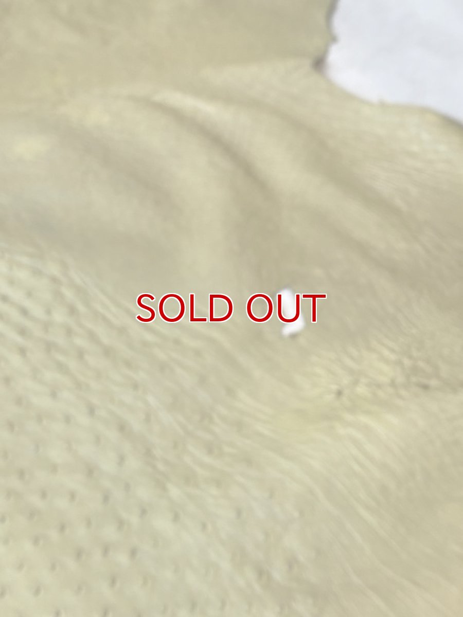 画像4: オーストリッチ　キウイ (4)