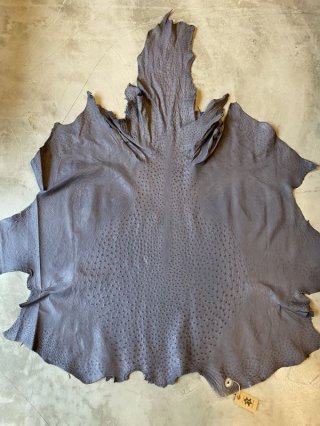 伊製!オーストリッチ駝鳥脚皮&本革&ウエスタン装飾Last Offer ! 楽天市場】ハンドバッグ オーストリッチ 本革 レディース 2way