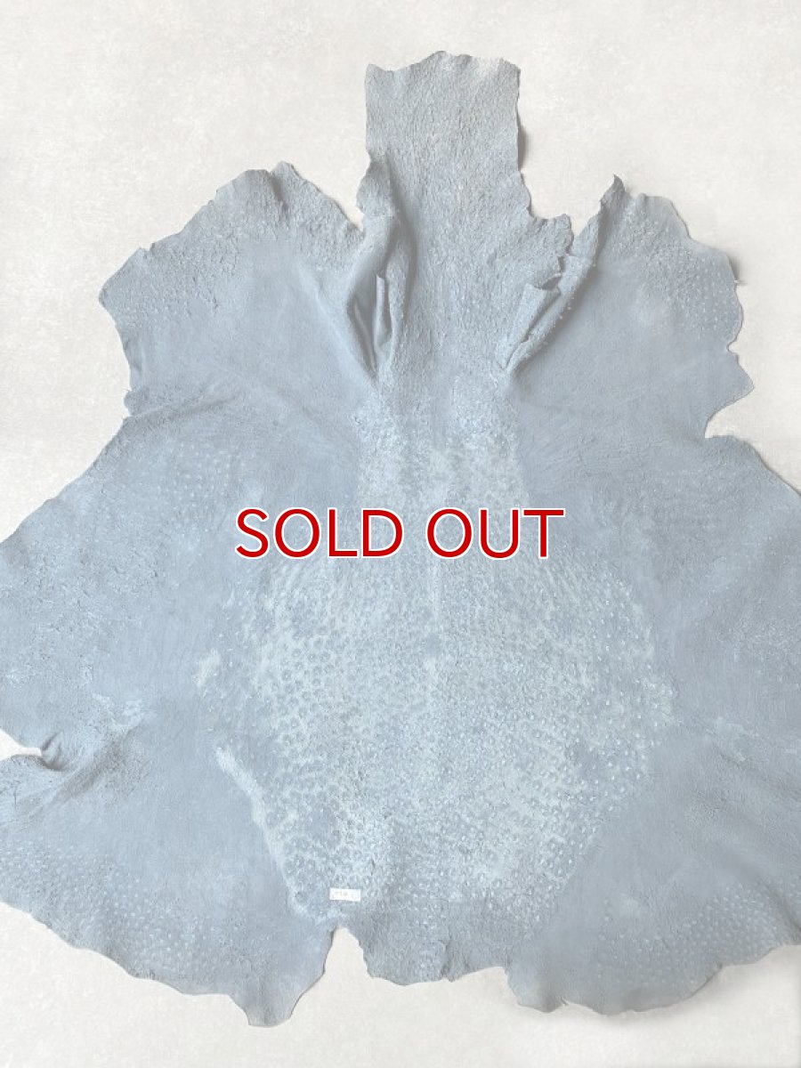 画像10: オーストリッチ革 ブルージーン ダチョウの革 オーストリッチレザー エキゾチックレザー (10)