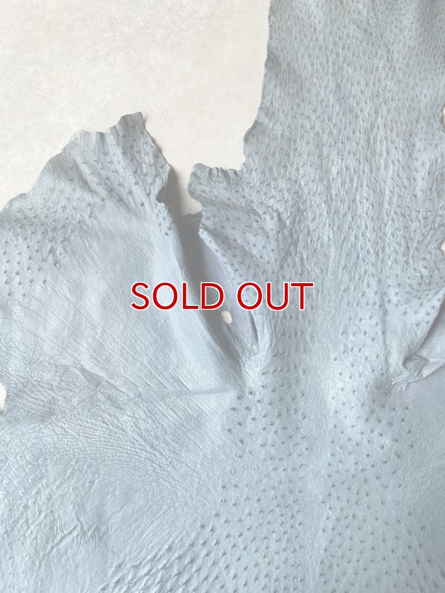 画像2: オーストリッチ革 ブルージーン ダチョウの革 オーストリッチレザー エキゾチックレザー (2)