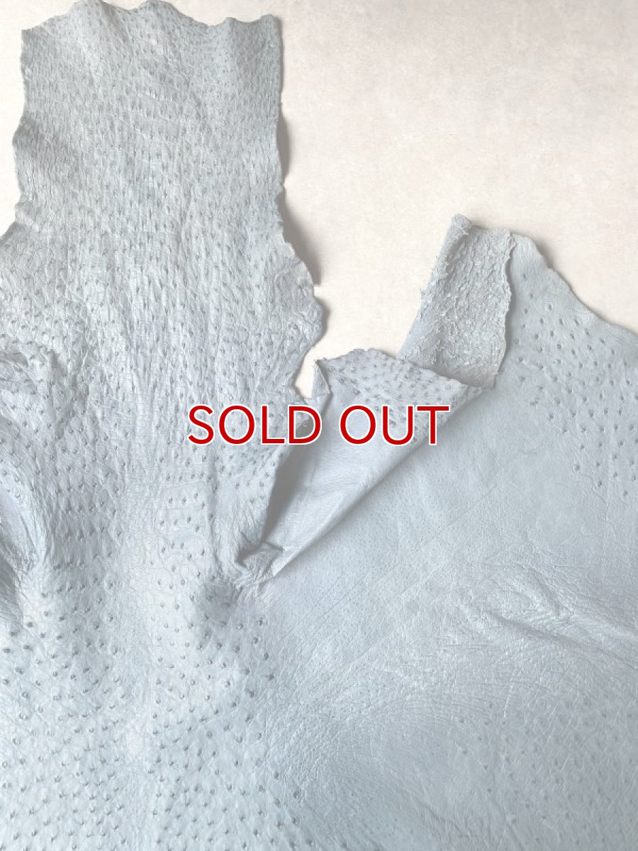 画像3: オーストリッチ革 ブルージーン ダチョウの革 オーストリッチレザー エキゾチックレザー (3)