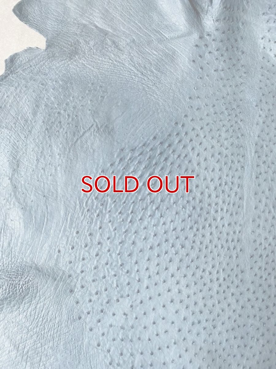 画像4: オーストリッチ革 ブルージーン ダチョウの革 オーストリッチレザー エキゾチックレザー (4)