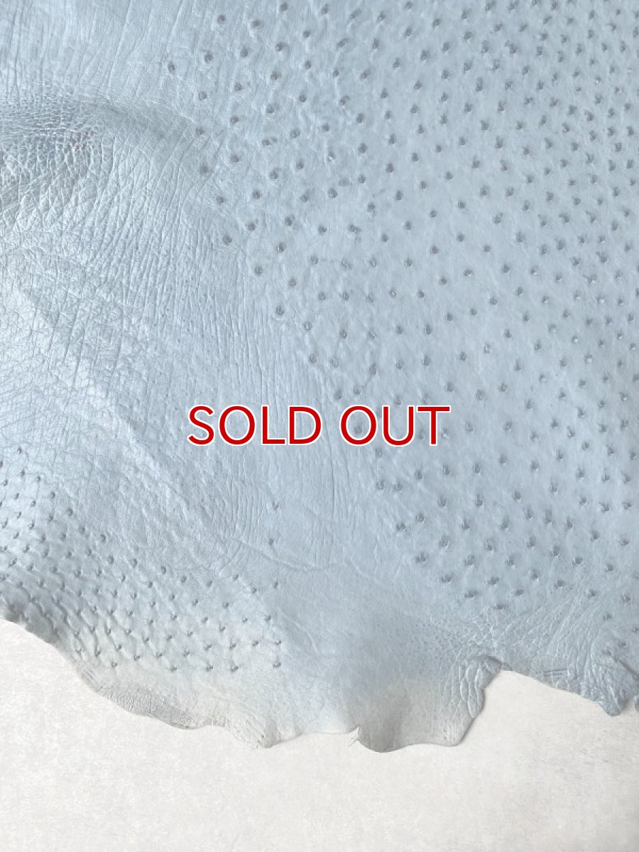 画像6: オーストリッチ革 ブルージーン ダチョウの革 オーストリッチレザー エキゾチックレザー (6)