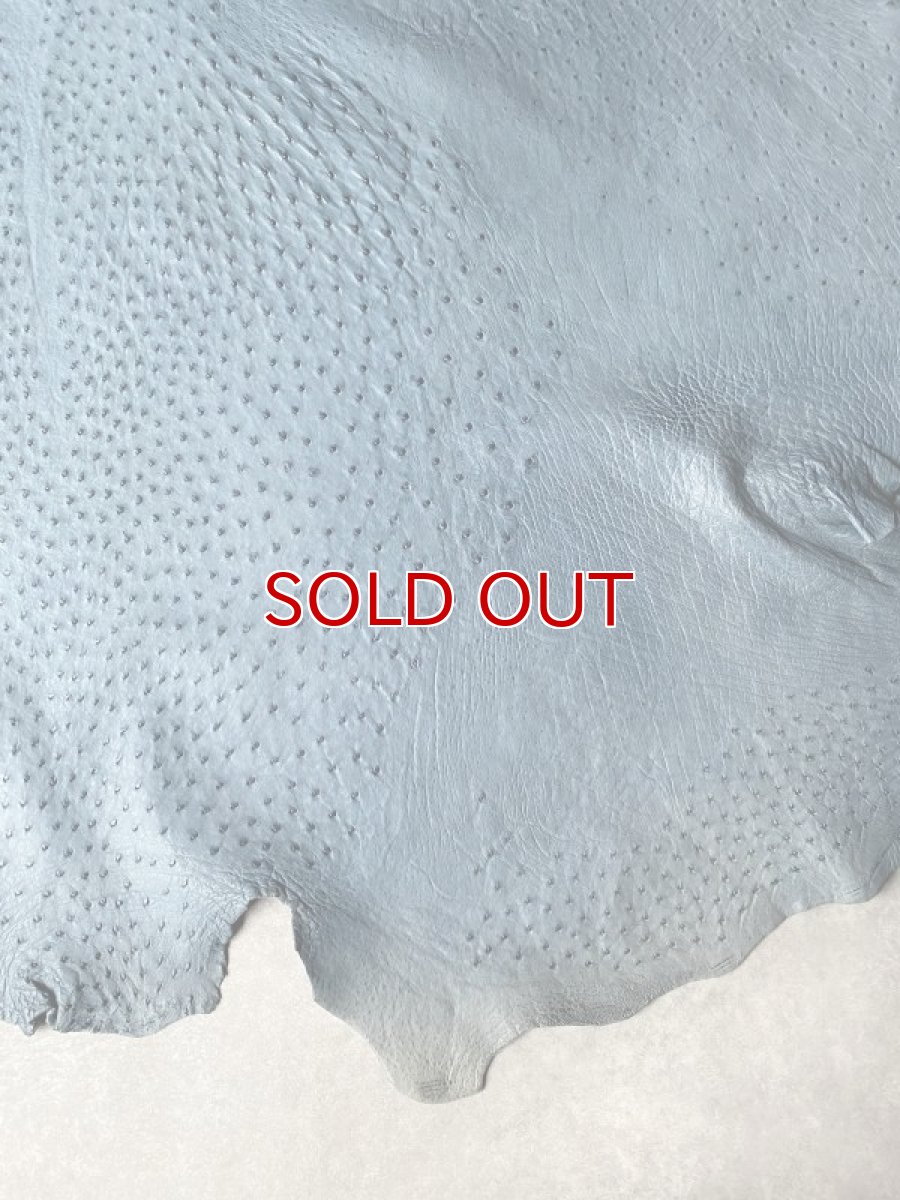 画像7: オーストリッチ革 ブルージーン ダチョウの革 オーストリッチレザー エキゾチックレザー (7)