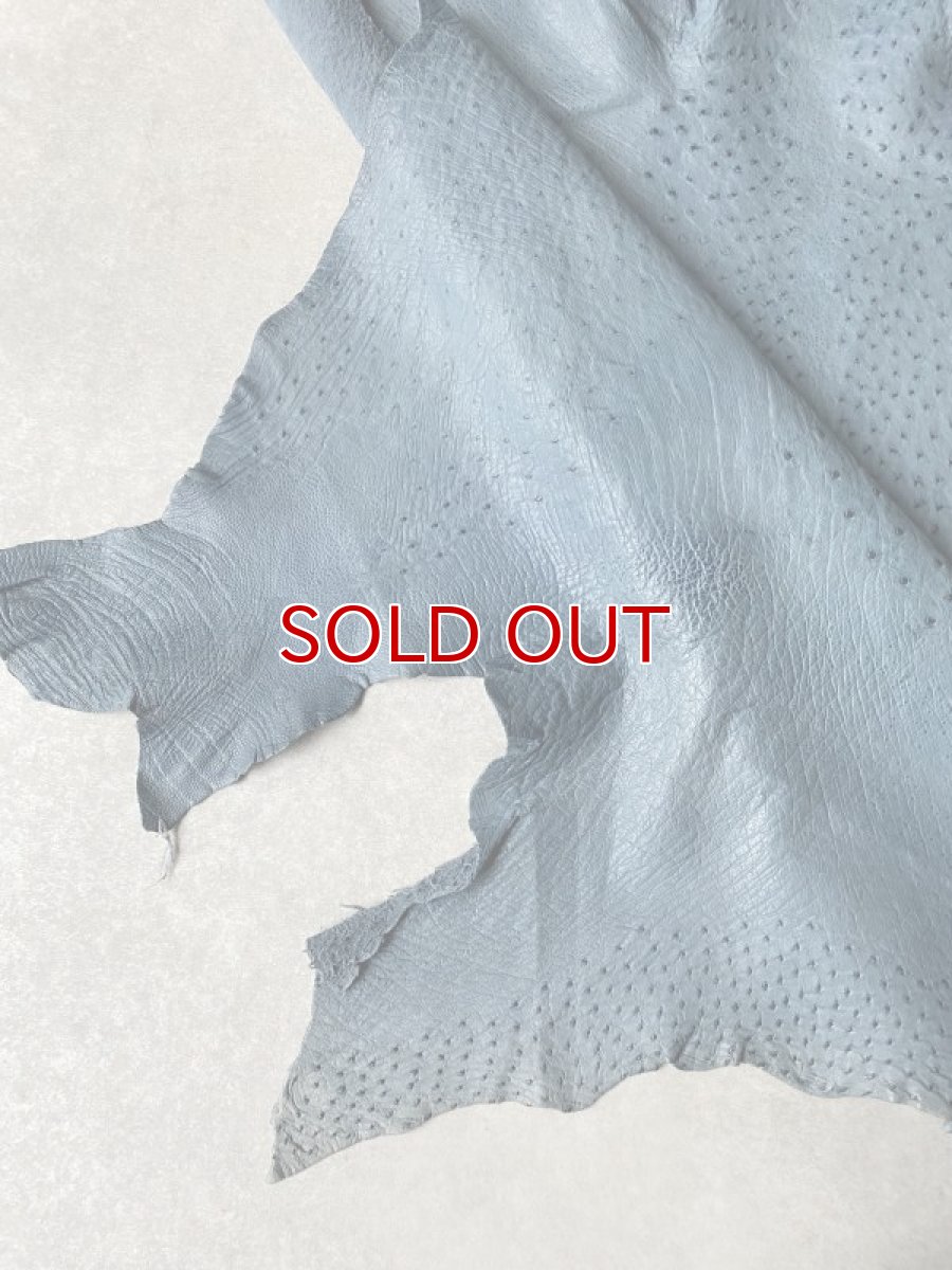 画像8: オーストリッチ革 ブルージーン ダチョウの革 オーストリッチレザー エキゾチックレザー (8)