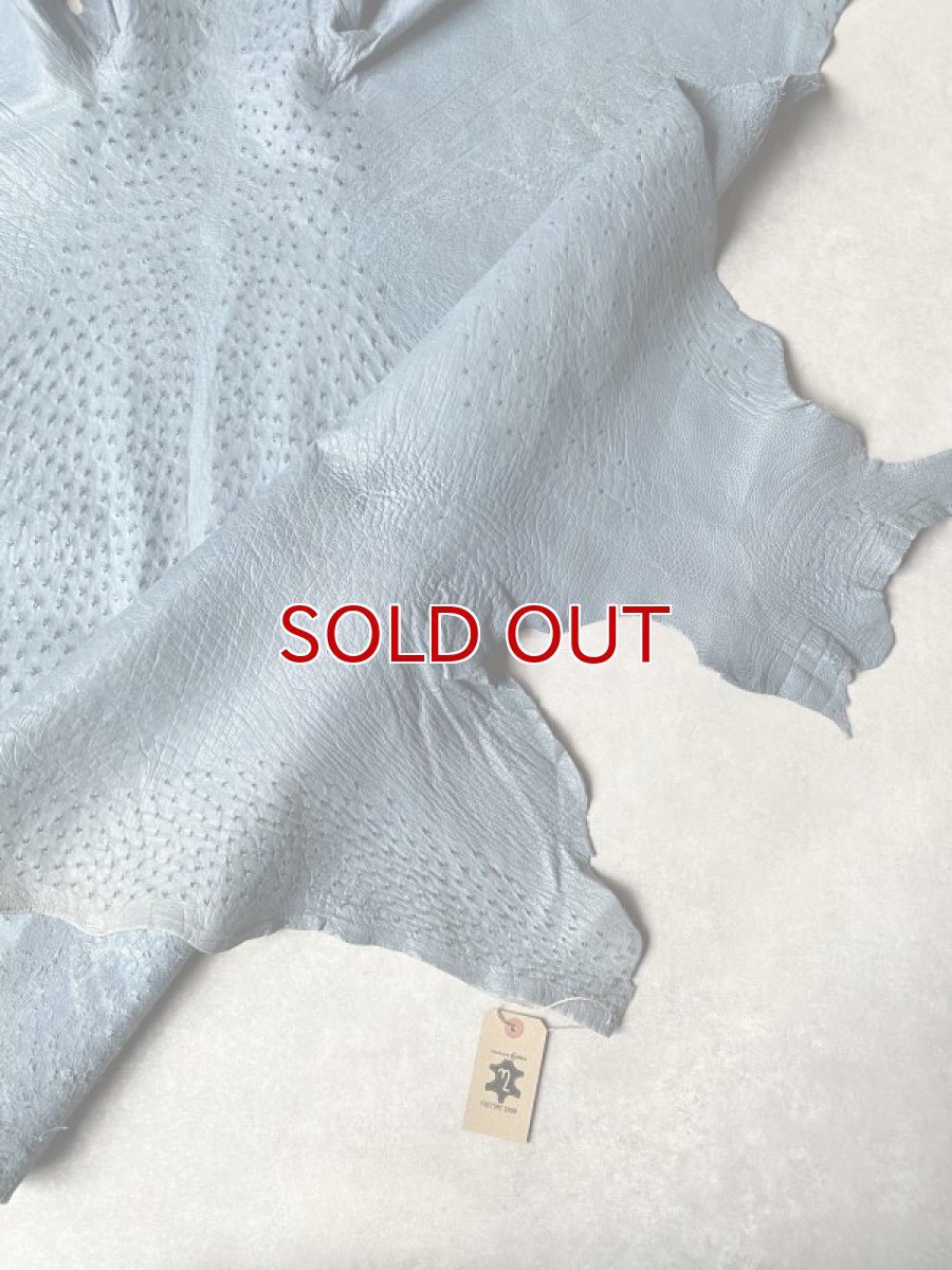 画像9: オーストリッチ革 ブルージーン ダチョウの革 オーストリッチレザー エキゾチックレザー (9)