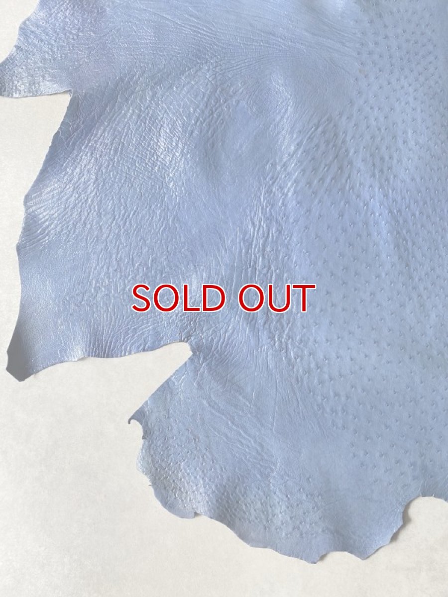 画像4: オーストリッチ　エナメル　ブルー (4)