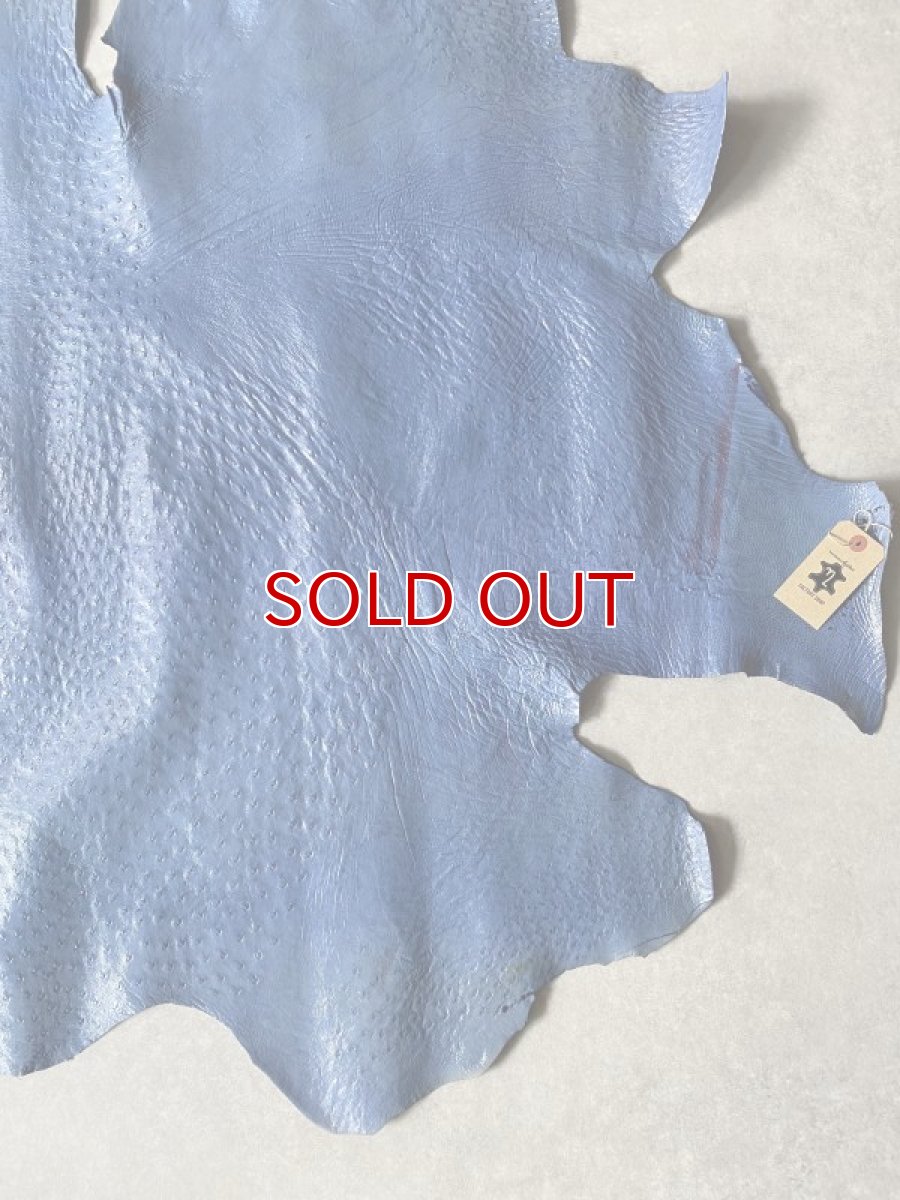 画像5: オーストリッチ　エナメル　ブルー (5)