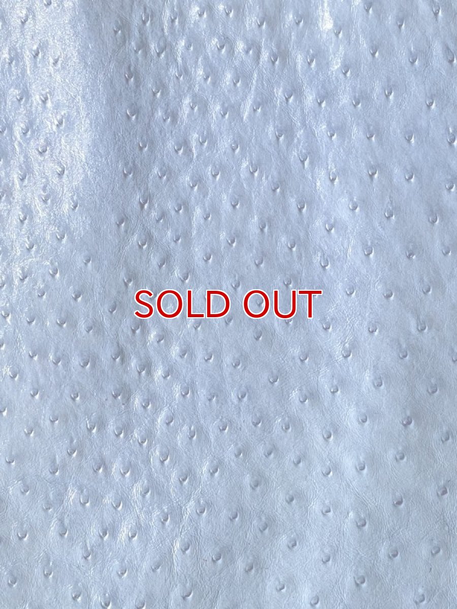 画像6: オーストリッチ　エナメル　ブルー (6)